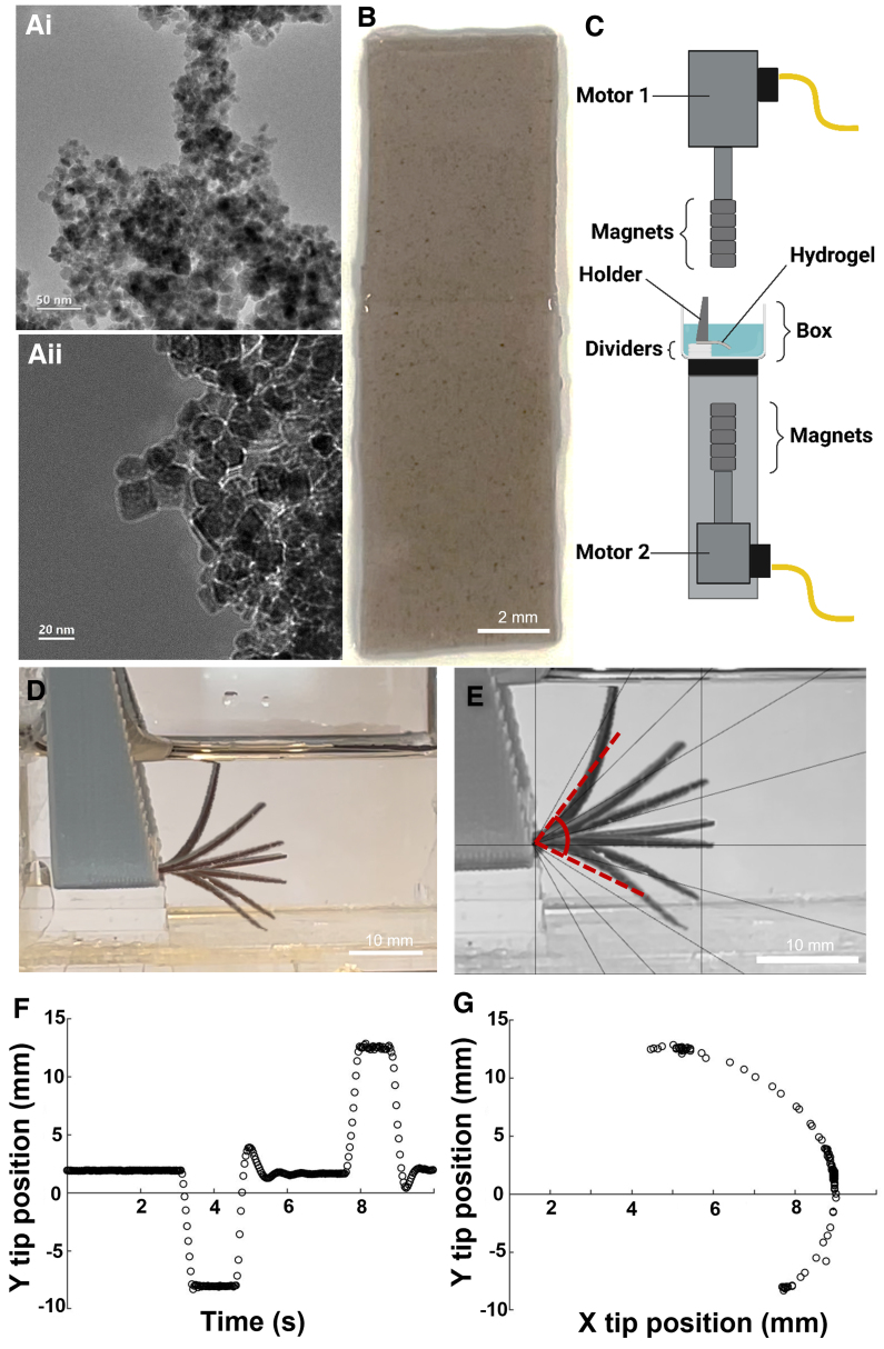 FIG. 2.