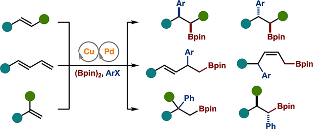 graphic file with name nihms-1796264-f0001.jpg