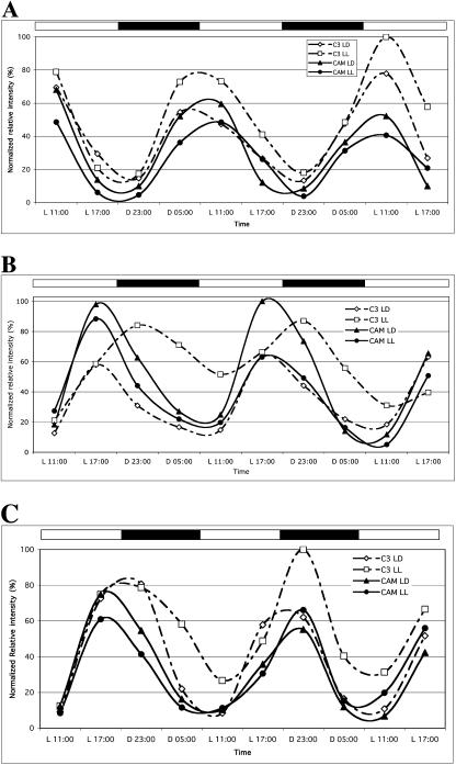 Figure 3.