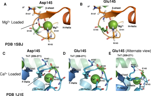 FIGURE 7.