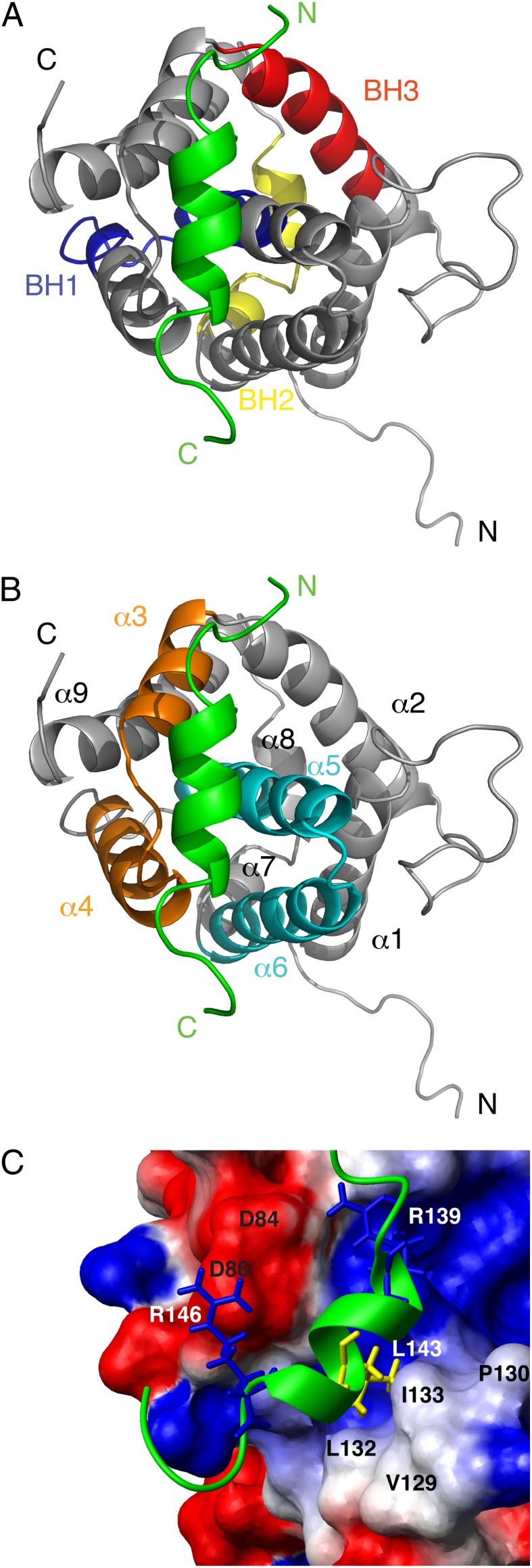 Fig. 3.