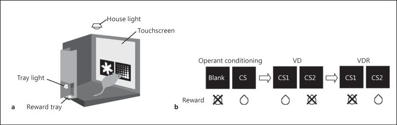 Fig. 1