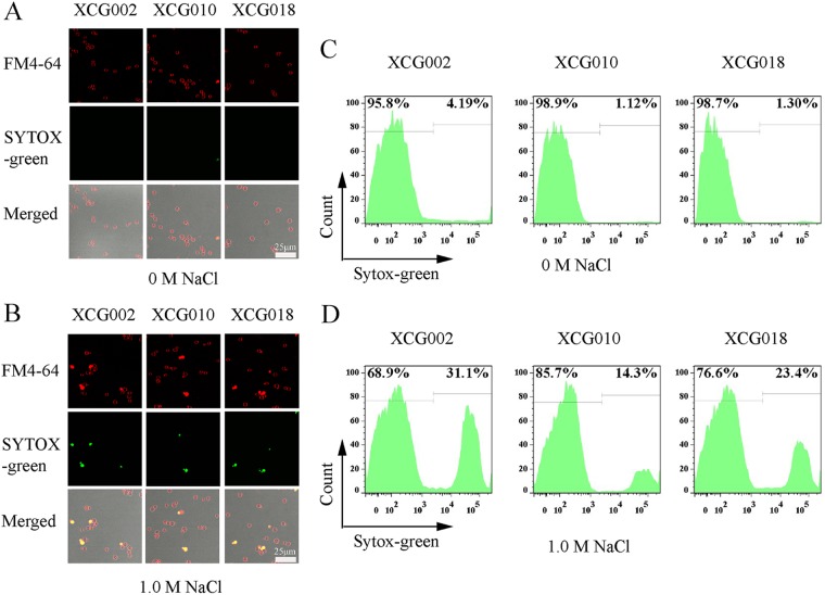 FIG 6