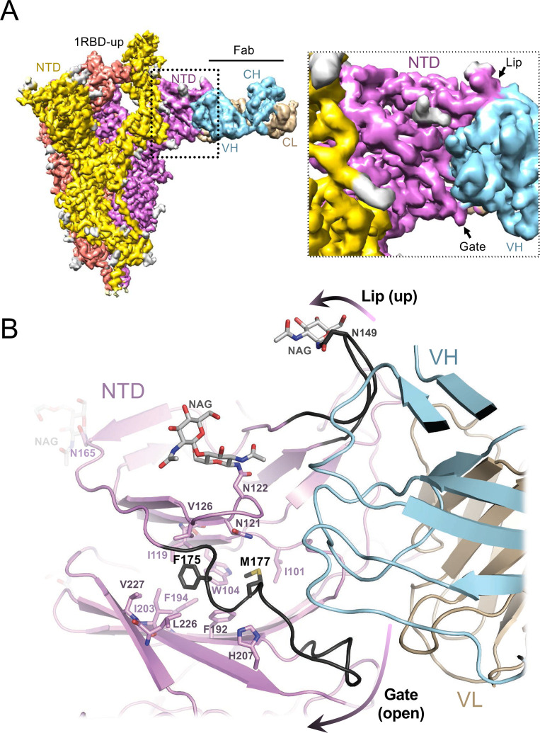 Figure 4.