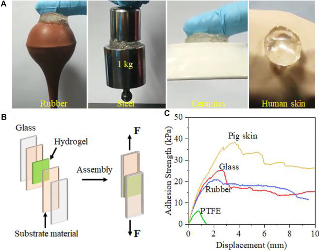 FIGURE 3