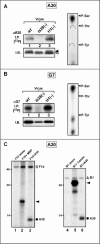 FIG. 2.