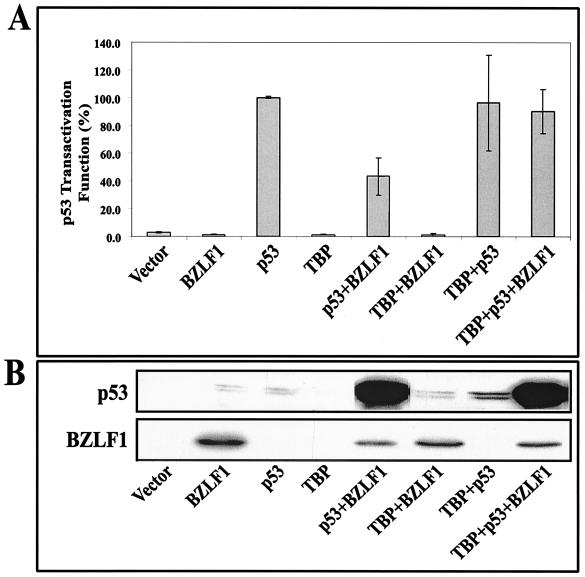 FIG. 8.