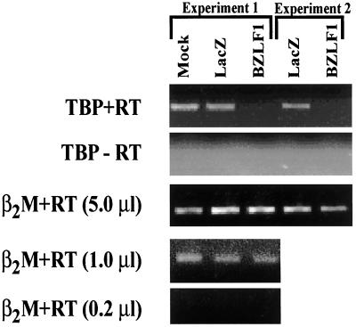 FIG. 7.