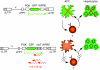 <b>Figure 4</b>