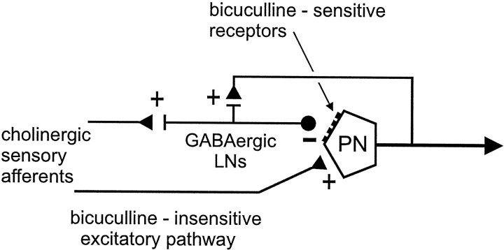 Fig. 8.