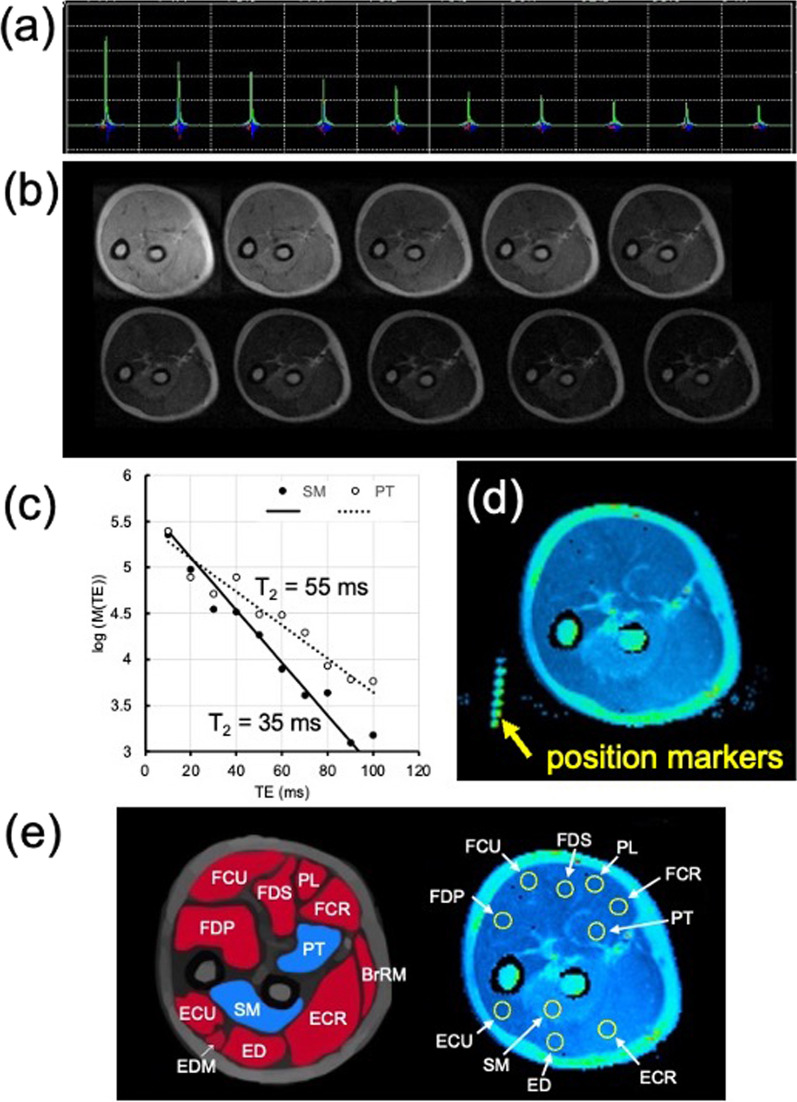 Fig. 2