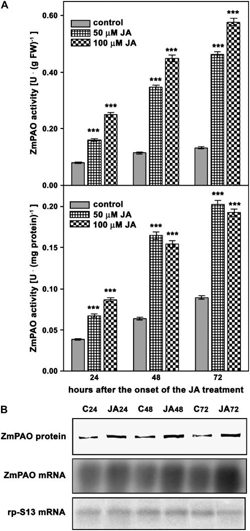 Figure 5.