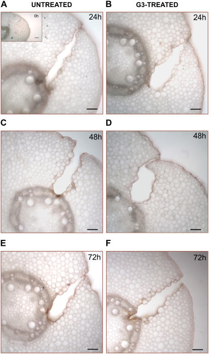 Figure 10.