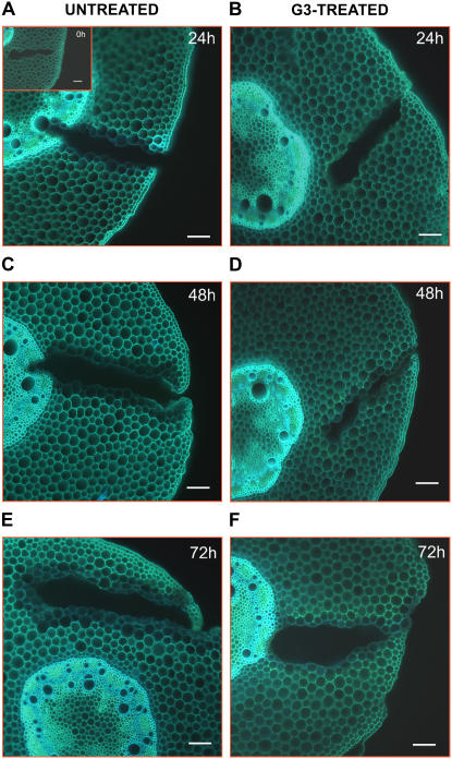 Figure 9.