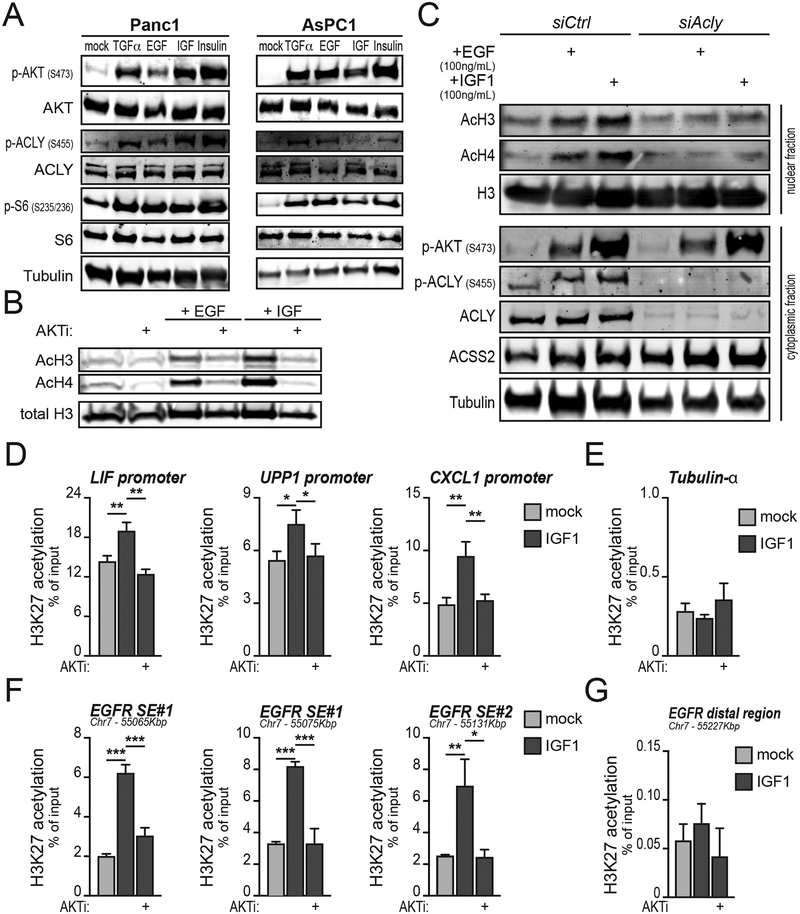 Figure 6: