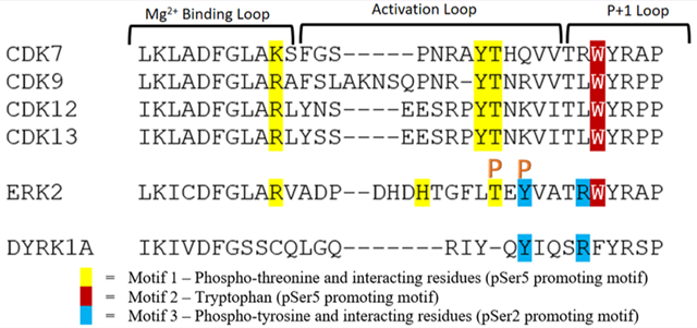 graphic file with name nihms-1684302-f0001.jpg