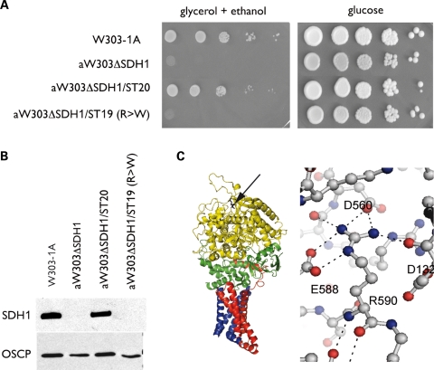 Figure 3.