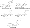 Figure 46