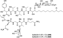 Figure 44