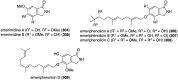 Figure 55