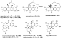 Figure 30