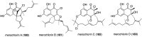 Figure 29
