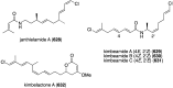 Figure 121