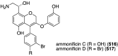 Figure 99