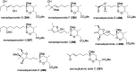 Figure 50