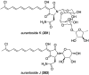 Figure 34