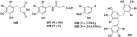 Figure 105