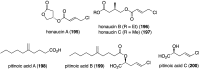 Figure 33