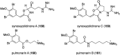 Figure 26