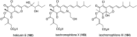 Figure 27