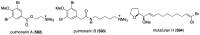 Figure 115