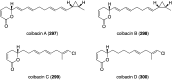 Figure 53