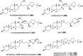 Figure 76