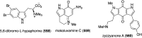 Figure 107