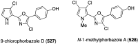 Figure 101