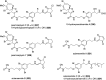 Figure 62