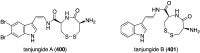 Figure 79