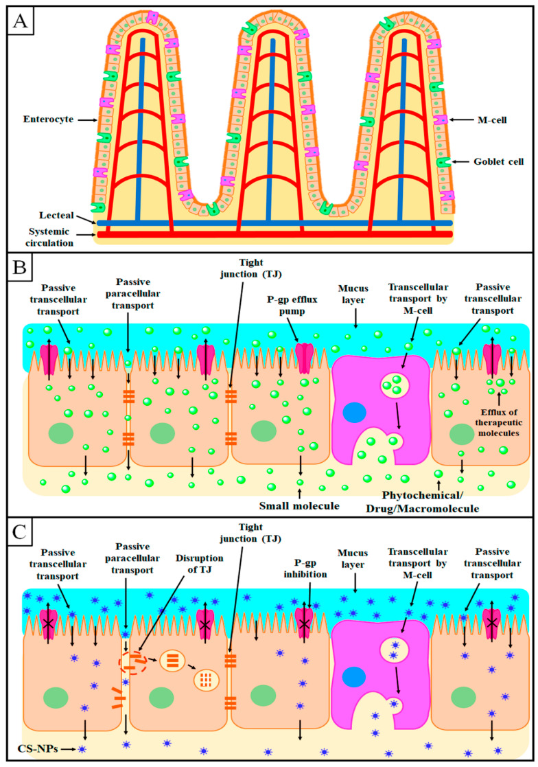 Figure 5