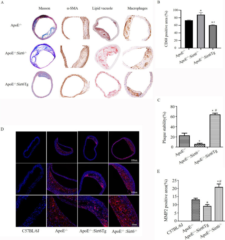 Fig. 6