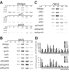 FIG. 1.