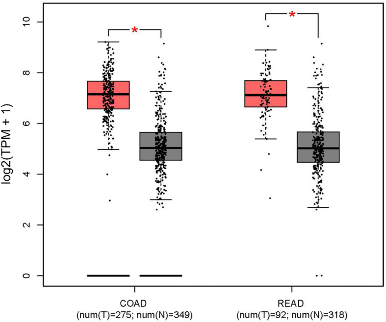 FIGURE 11