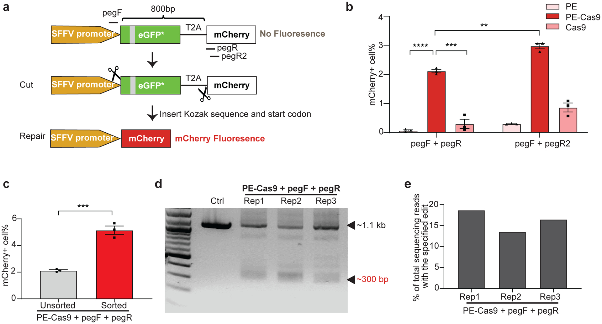 Fig 3.