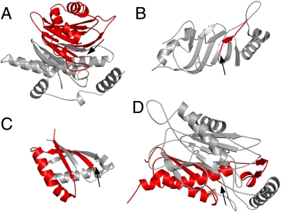 Fig. 3.