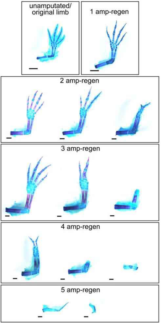 Figure 4: