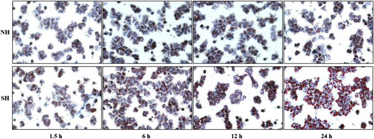 Figure 3