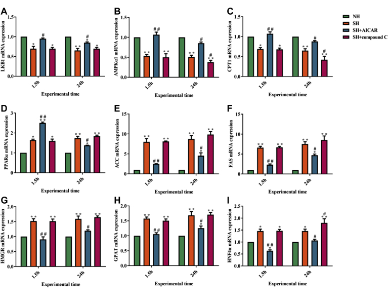 Figure 6